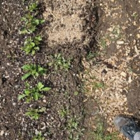 Beet4Vorbereitet 2026-05-19 10.37.